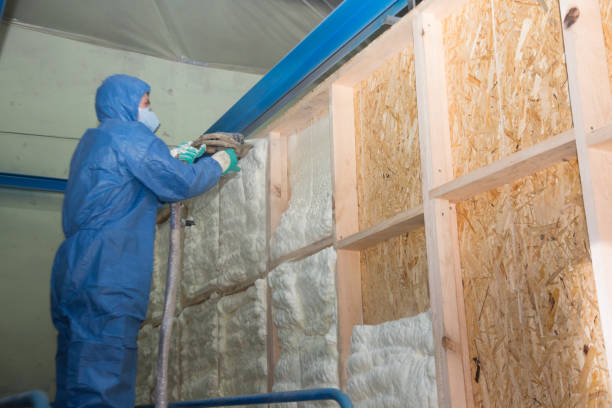 Insulation Inspection Services in Oxford, KS